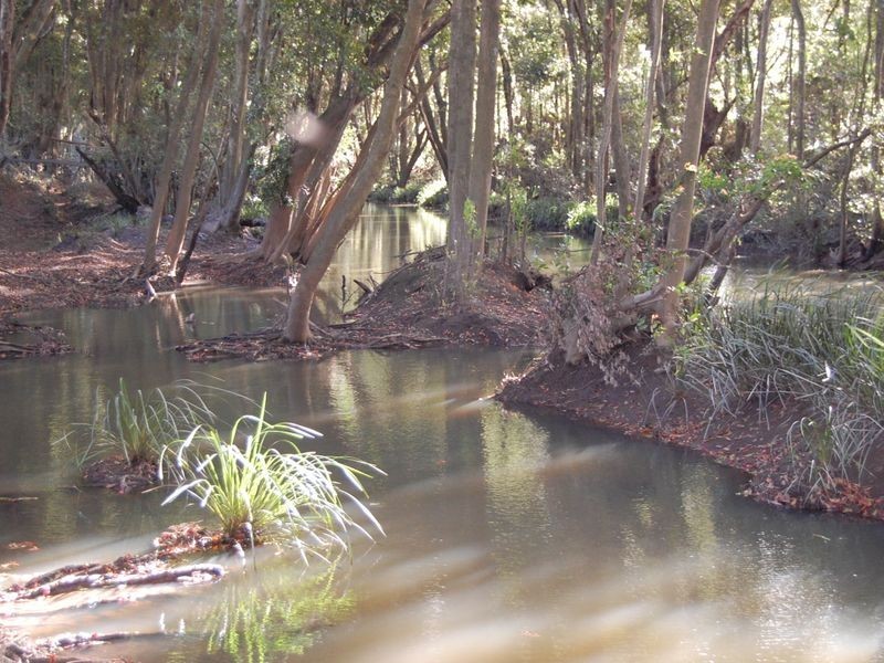 Nabiac NSW 2312