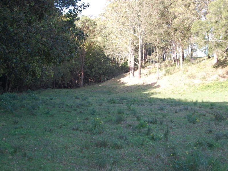 Nabiac NSW 2312