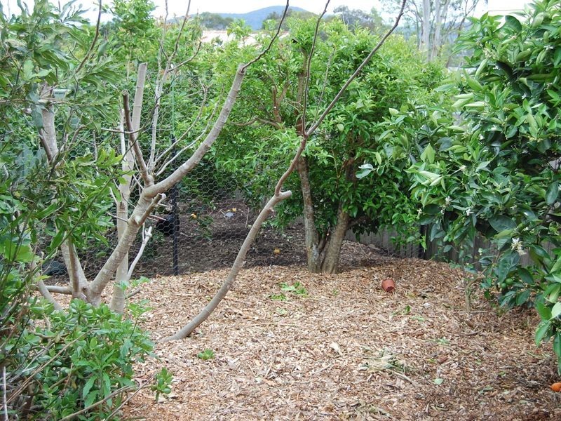 24 Wyoming Street, Wingham NSW 2429