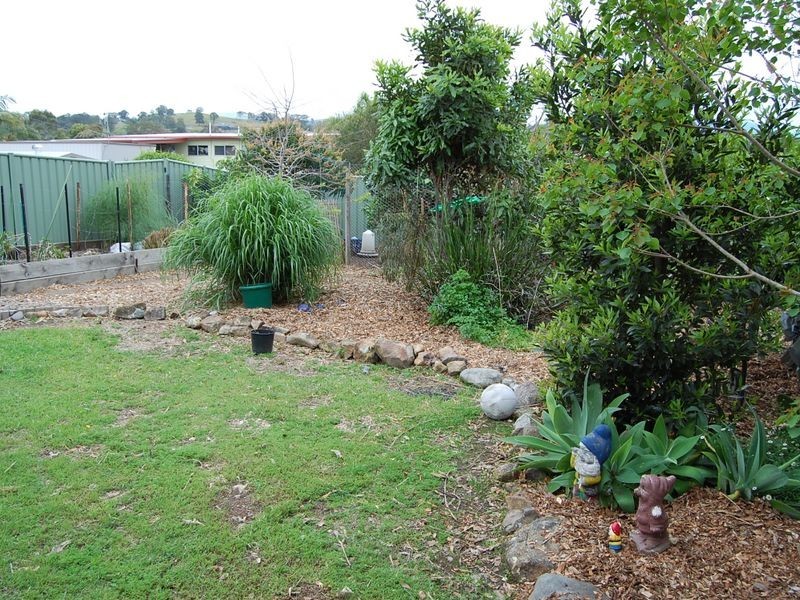 24 Wyoming Street, Wingham NSW 2429