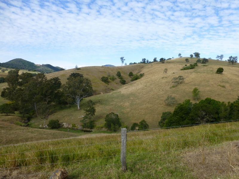 Mount George NSW 2424