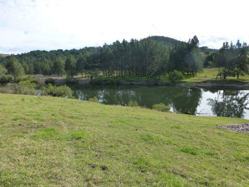 Mount George NSW 2424