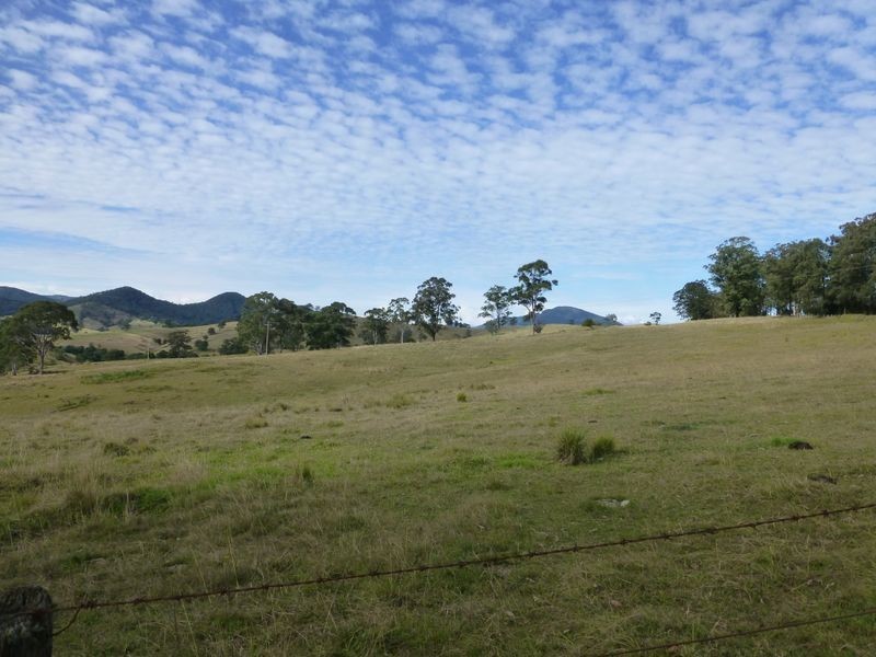 Mount George NSW 2424