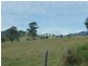 Mount George NSW 2424
