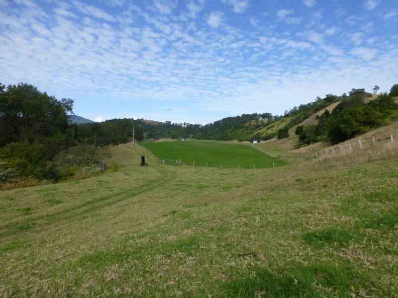 Mount George NSW 2424