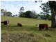 Mount George NSW 2424