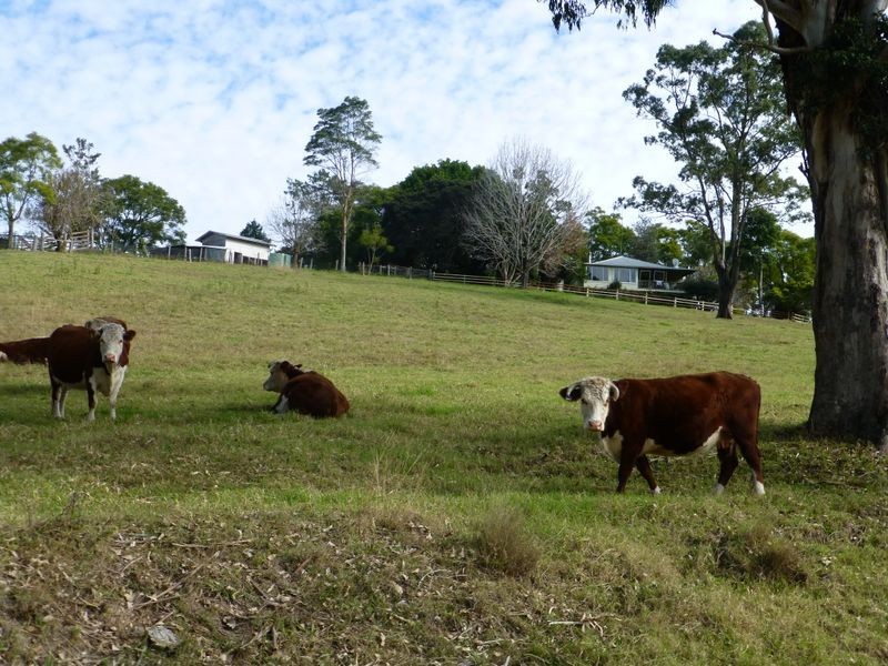 Mount George NSW 2424