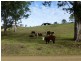 Mount George NSW 2424