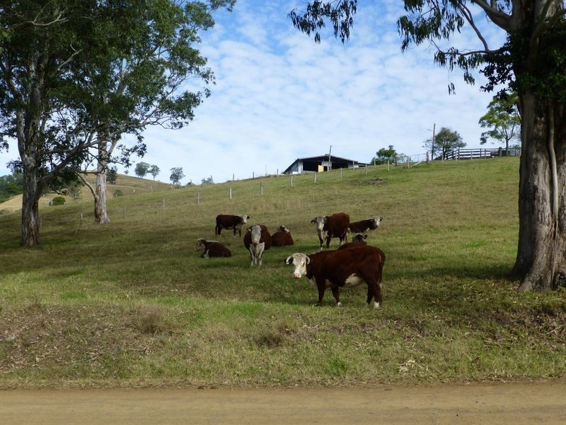 Mount George NSW 2424