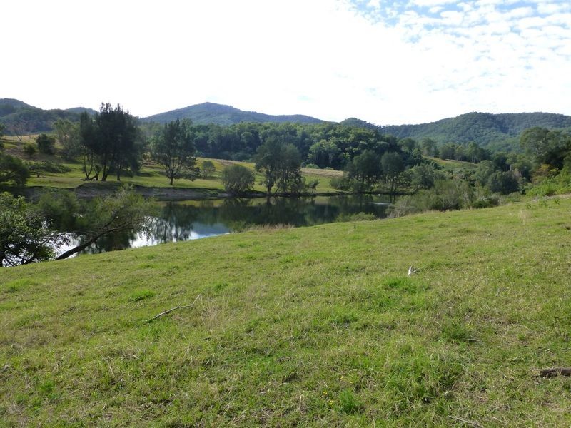 Mount George NSW 2424
