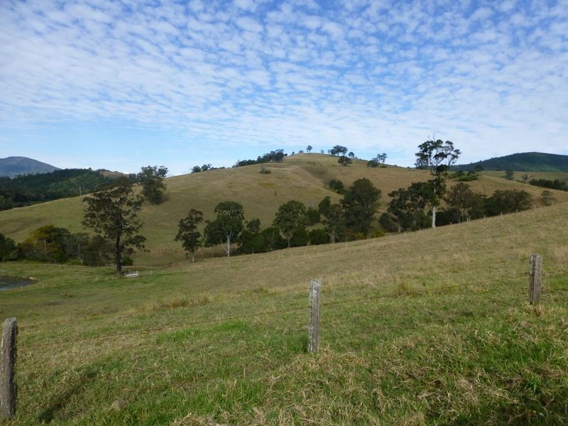 Mount George NSW 2424