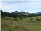 Mount George NSW 2424