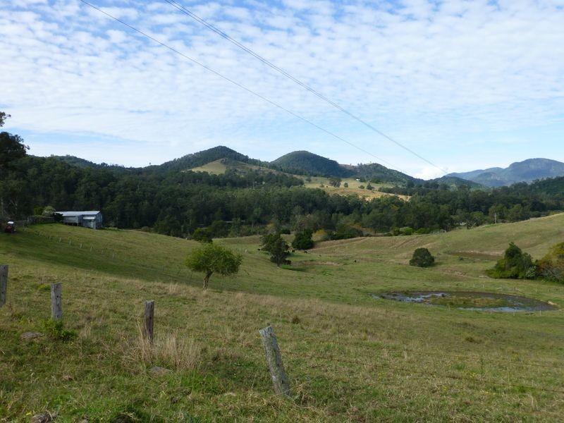 Mount George NSW 2424