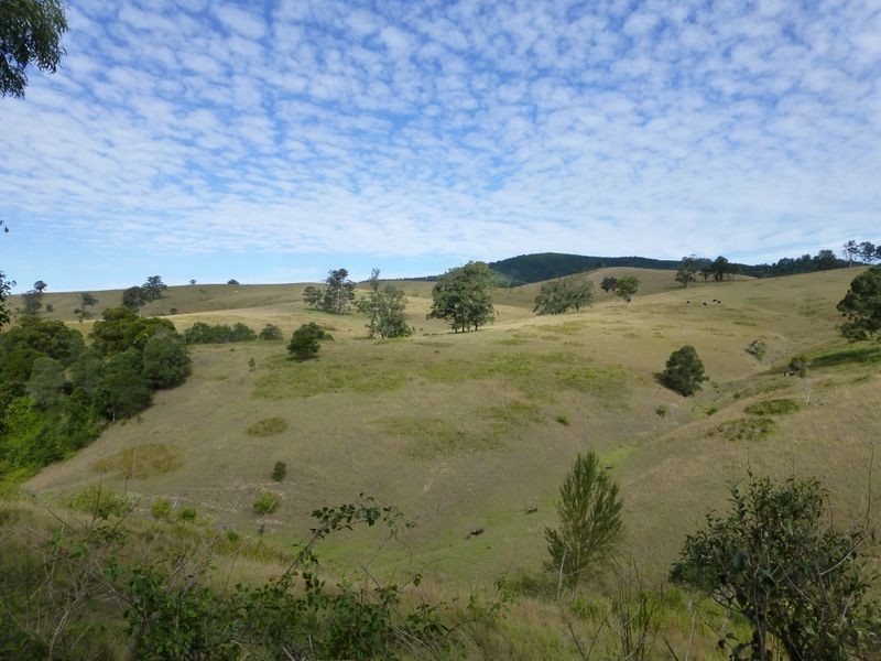 Mount George NSW 2424