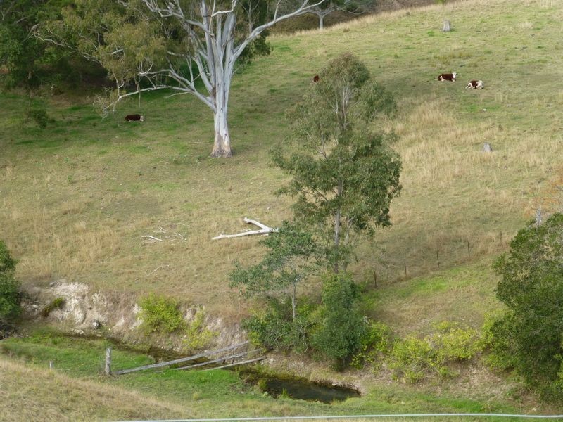 Mount George NSW 2424
