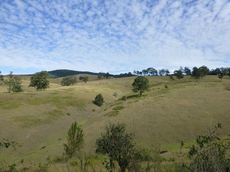 Mount George NSW 2424