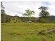 Wherrol Flat NSW 2429