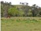 Wherrol Flat NSW 2429