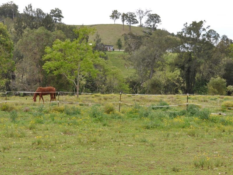 Wherrol Flat NSW 2429