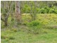Wherrol Flat NSW 2429