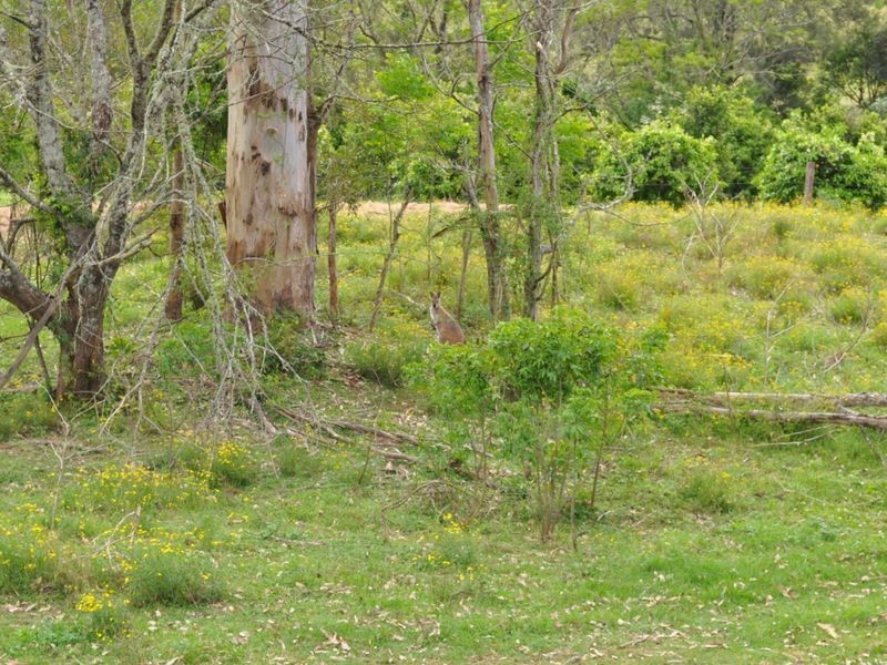 Wherrol Flat NSW 2429