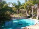 Wingham NSW 2429