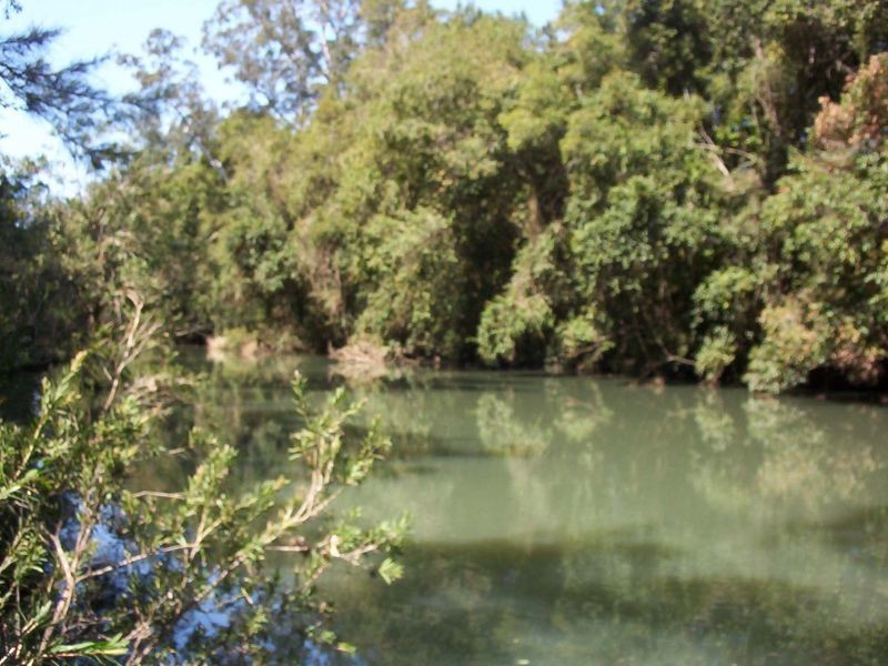Wingham NSW 2429