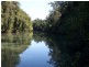 Wingham NSW 2429