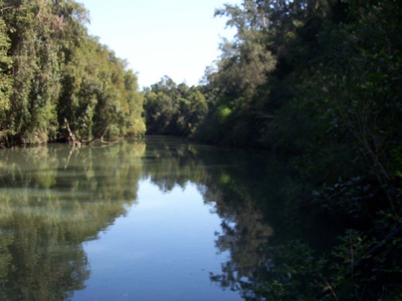 Wingham NSW 2429