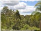 Wingham NSW 2429