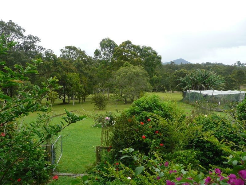 19 Abbotts Falls Road, Wingham NSW 2429