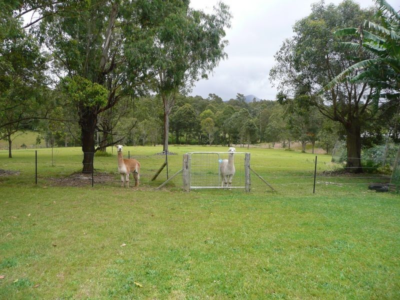 19 Abbotts Falls Road, Wingham NSW 2429