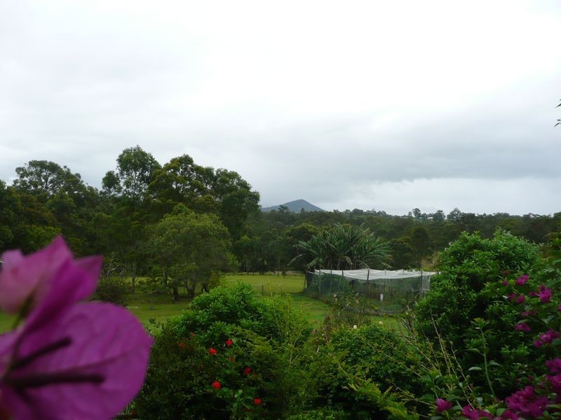 19 Abbotts Falls Road, Wingham NSW 2429