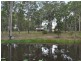 Cedar Party NSW 2429