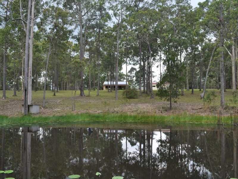 Cedar Party NSW 2429