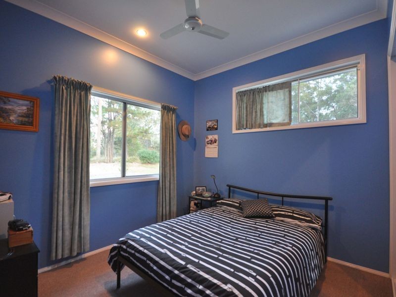 Cedar Party NSW 2429
