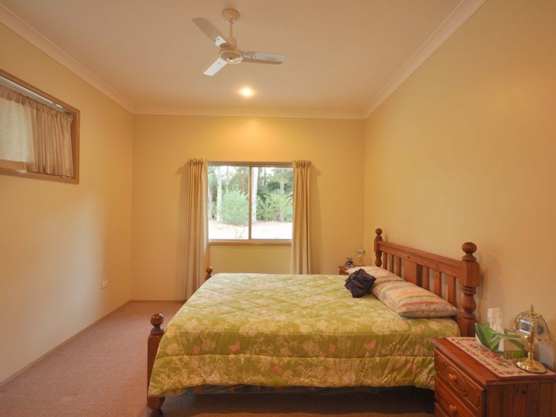 Cedar Party NSW 2429