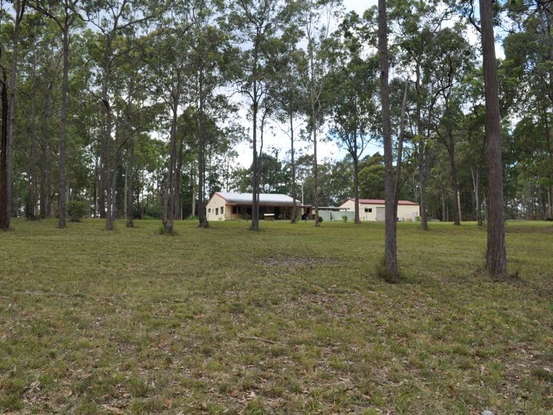 Cedar Party NSW 2429