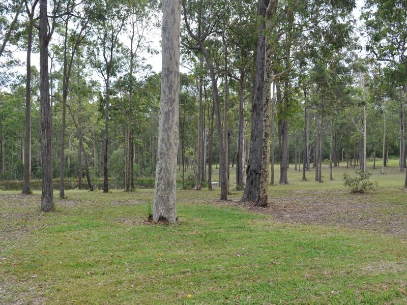 Cedar Party NSW 2429