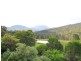 Mount George NSW 2424
