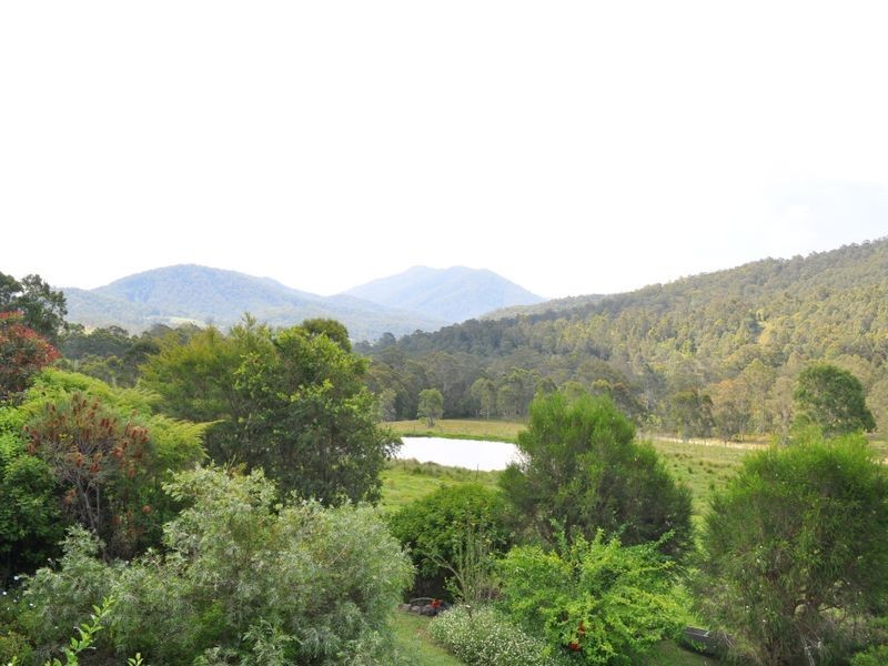 Mount George NSW 2424