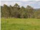 Mount George NSW 2424