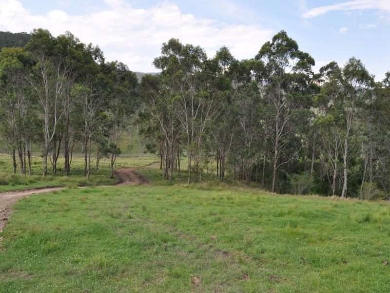 Mount George NSW 2424