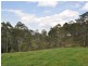 Mount George NSW 2424
