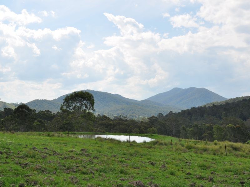 Mount George NSW 2424