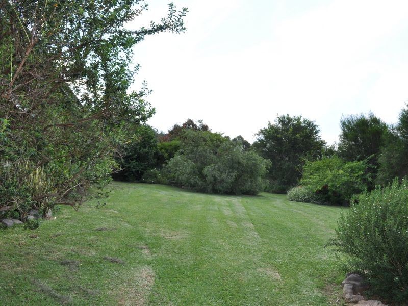 Mount George NSW 2424