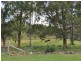Mount George NSW 2424