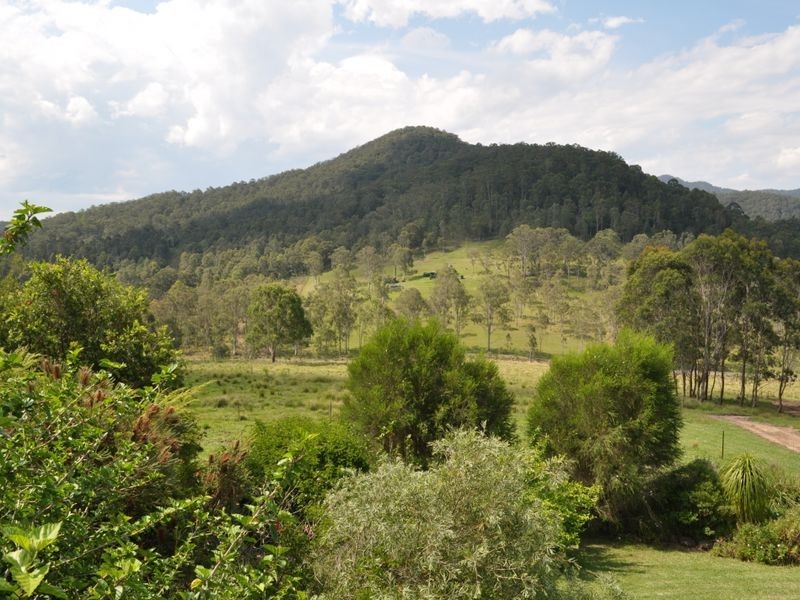 Mount George NSW 2424