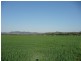 Tamworth NSW 2340