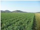 Tamworth NSW 2340